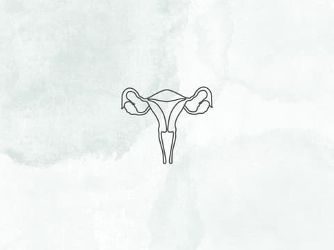 Sunnah Basic Treatment